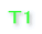 T1