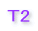 T2